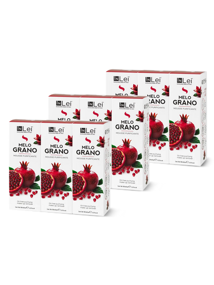 InLei® &quot;MOUSSE MELOGRANO&quot; - Thekendisplay TRAVEL SIZE – 9x100 ml - Inlei Germany