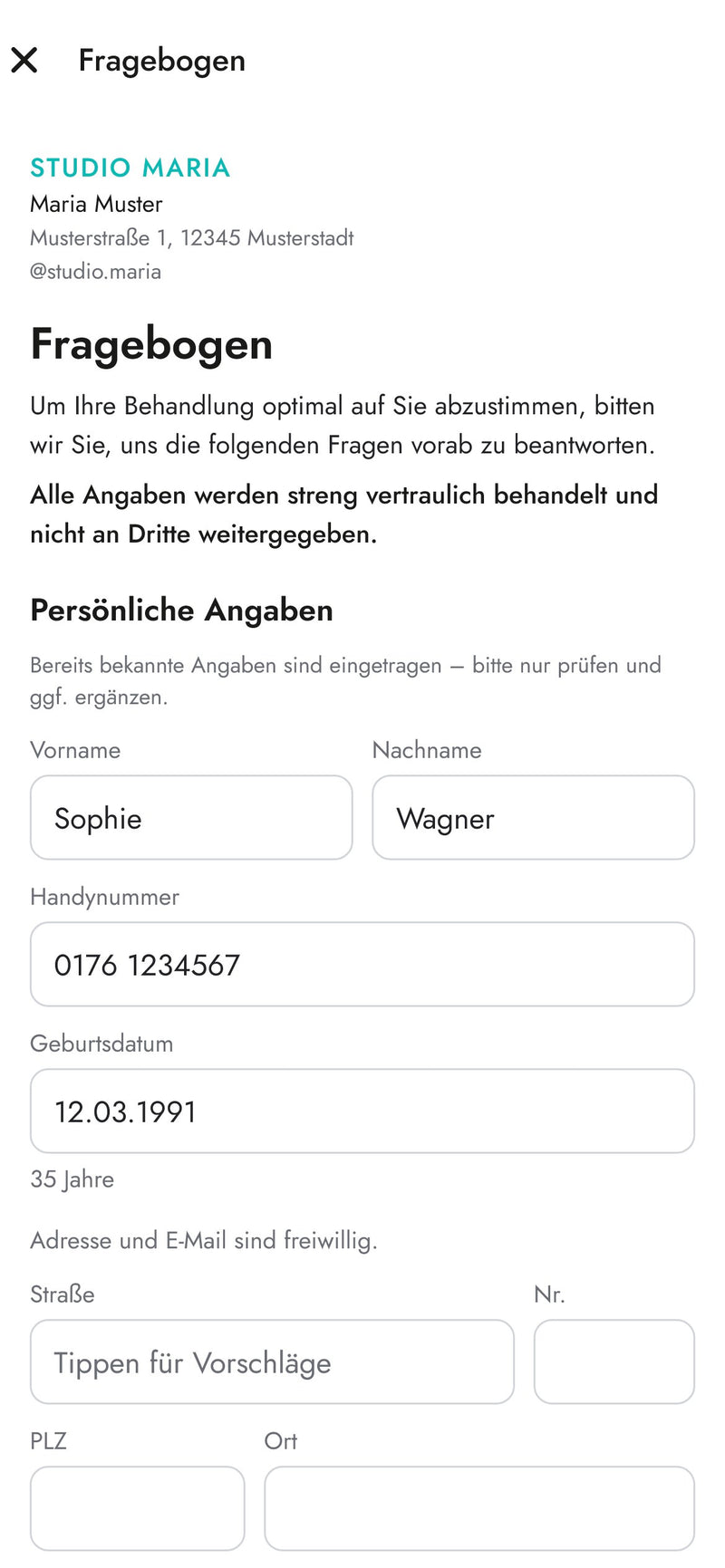 Digitaler Kundenfragebogen in der InLei Germany Studio App